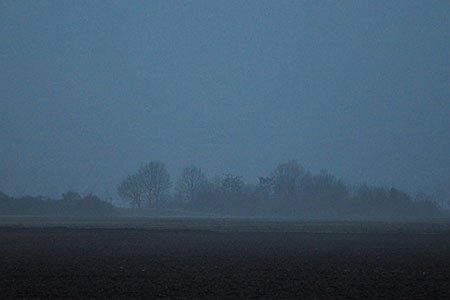 some image